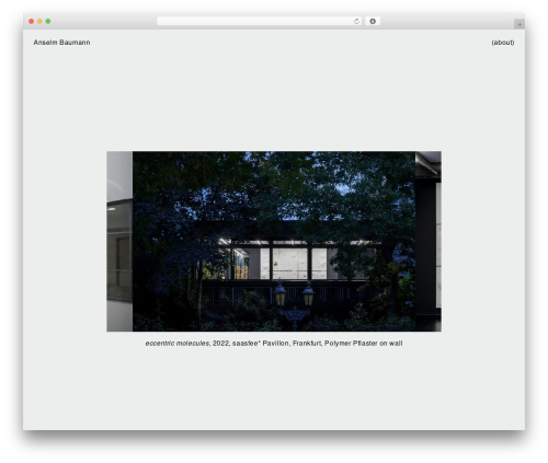 WordPress theme BAUMANN THEME - anselm-baumann.de