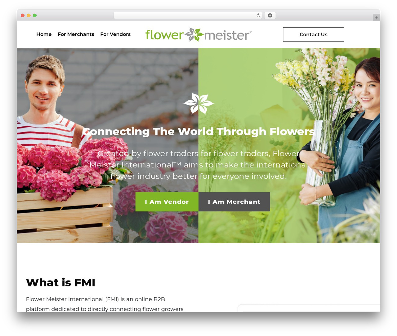 WordPress theme MuteWeb - flowermeister.com WordPress theme MuteWeb - flowermeister.com