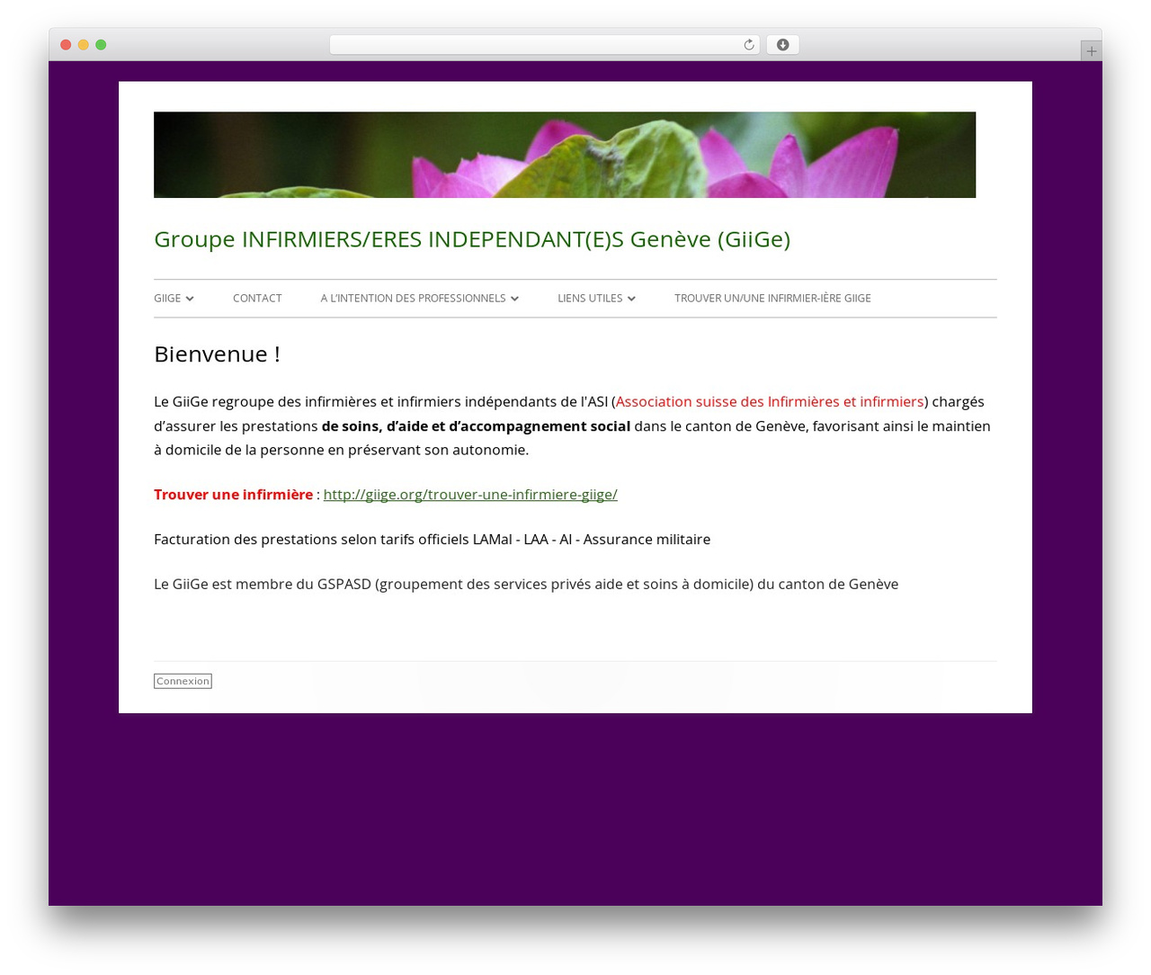 Best WordPress theme Tiny Framework - giige.org Best WordPress theme Tiny Framework - giige.org