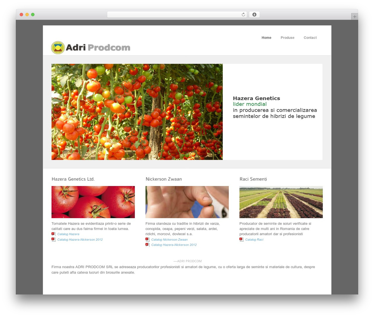 Best WordPress theme Complex - semintelegume.ro