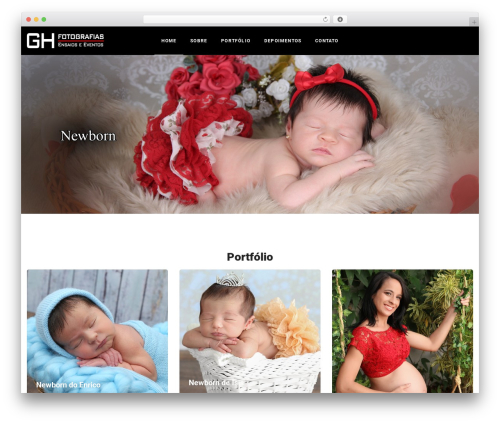 Silicon core WordPress plugin - ghfotografias.com.br