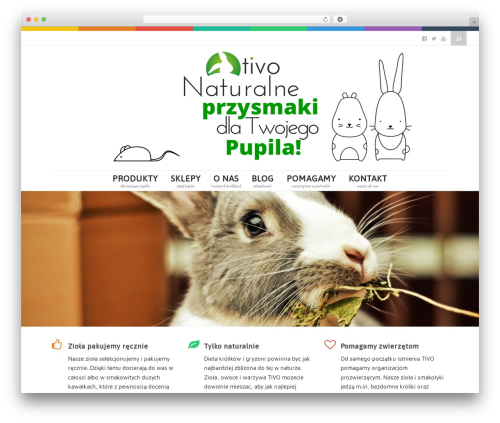 Stamp theme WordPress - ti-vo.pl