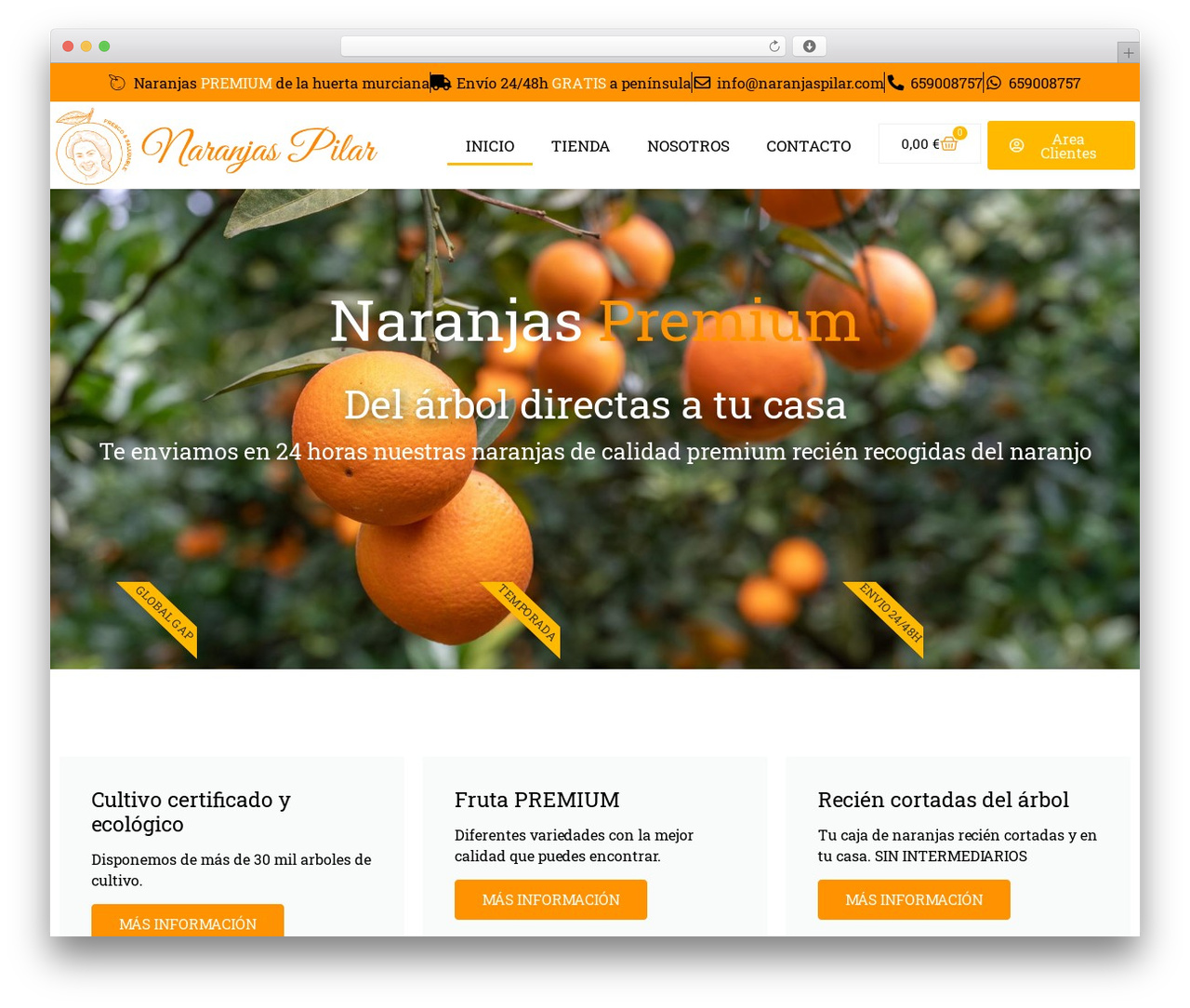 WordPress theme Hello Elementor - naranjaspilar.com WordPress theme Hello Elementor - naranjaspilar.com