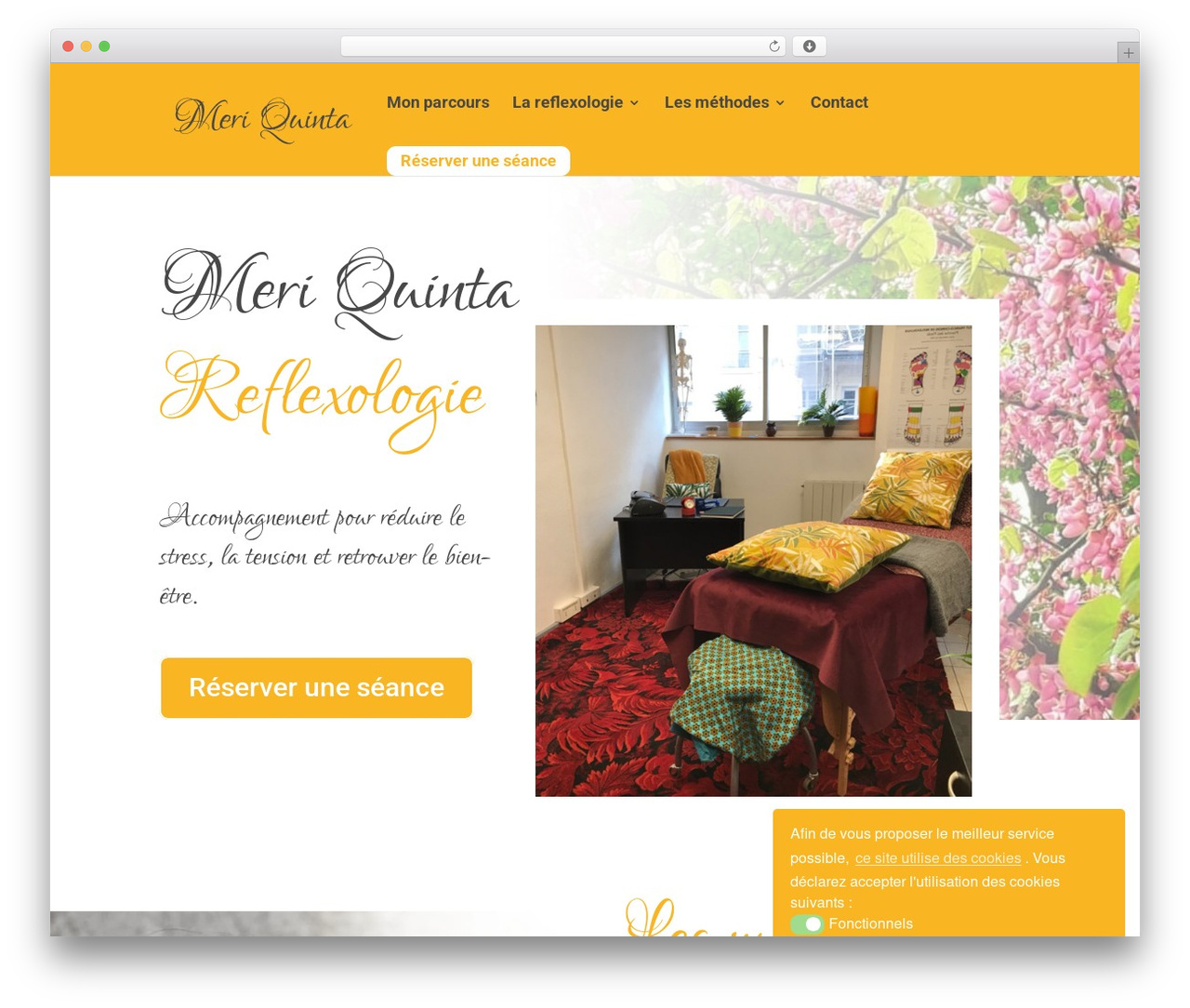 WordPress theme Divi - meriquinta-reflexologie.com WordPress theme Divi - meriquinta-reflexologie.com