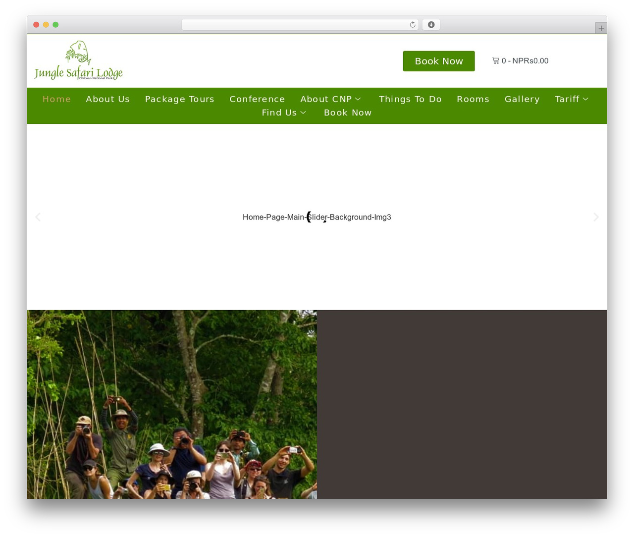 WordPress theme Hello Elementor - junglesafarilodge.com