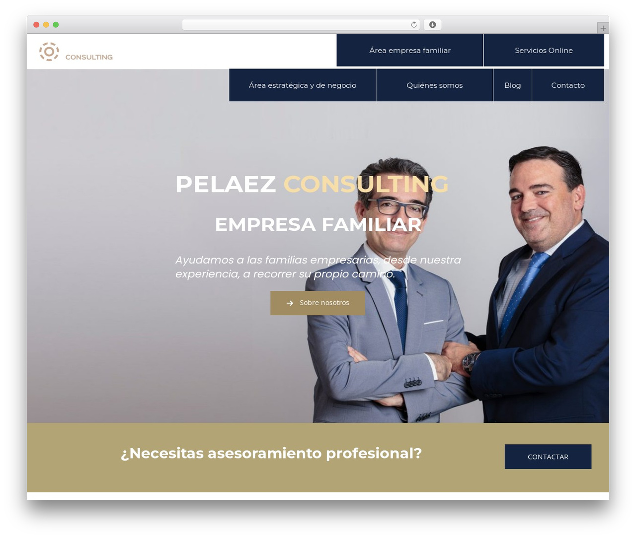 WordPress theme Massive Dynamic - pelaezconsulting.es