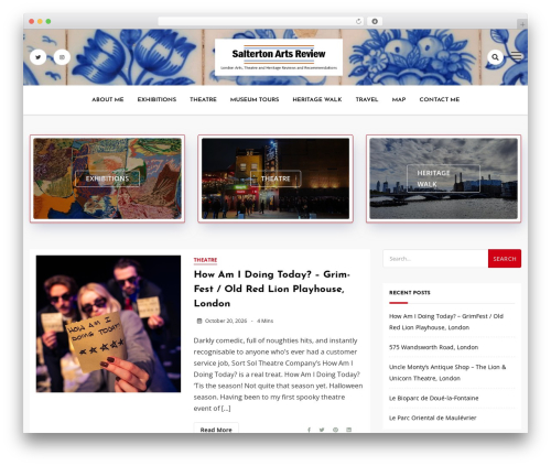 Dashy top WordPress theme - saltertonartsreview.com
