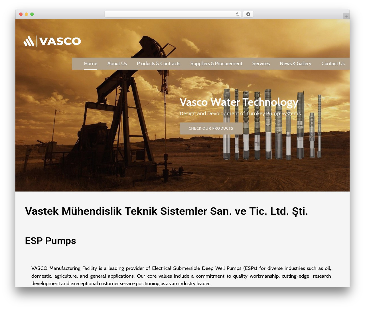 WordPress theme Lyrical - vascomak.com