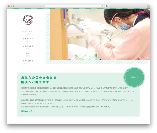 WordPress theme sg079 - kasesika.com