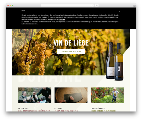 GrowCommerce – Pixel Tag Manager (PTM) for WooCommerce (pixel-manager-for-woocommerce) free WordPress plugin - vindeliege.be
