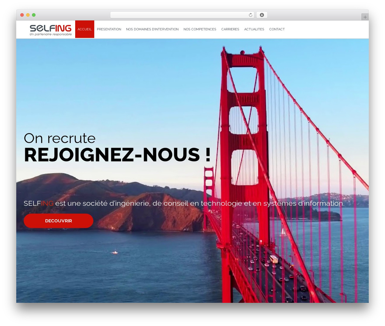 selfing WordPress theme - selfing.fr