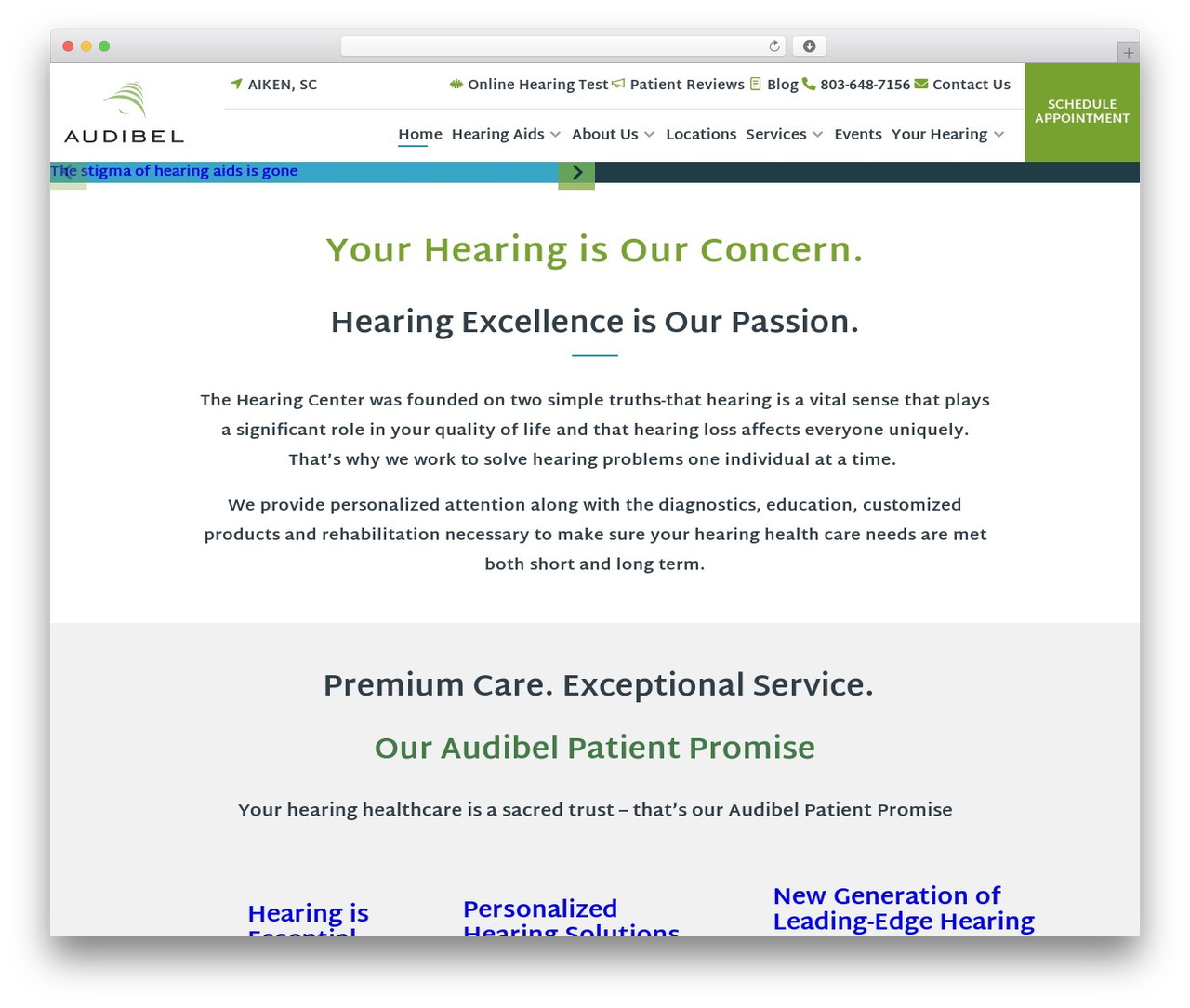 theme-amn-1 WordPress theme - thehearingcentersc.com theme-amn-1 WordPress theme - thehearingcentersc.com