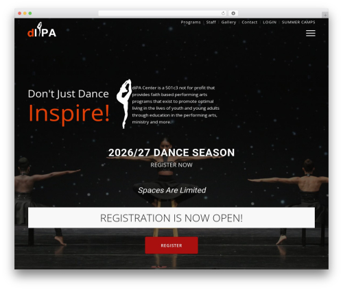 Theme Options WordPress theme - dipacenter.com