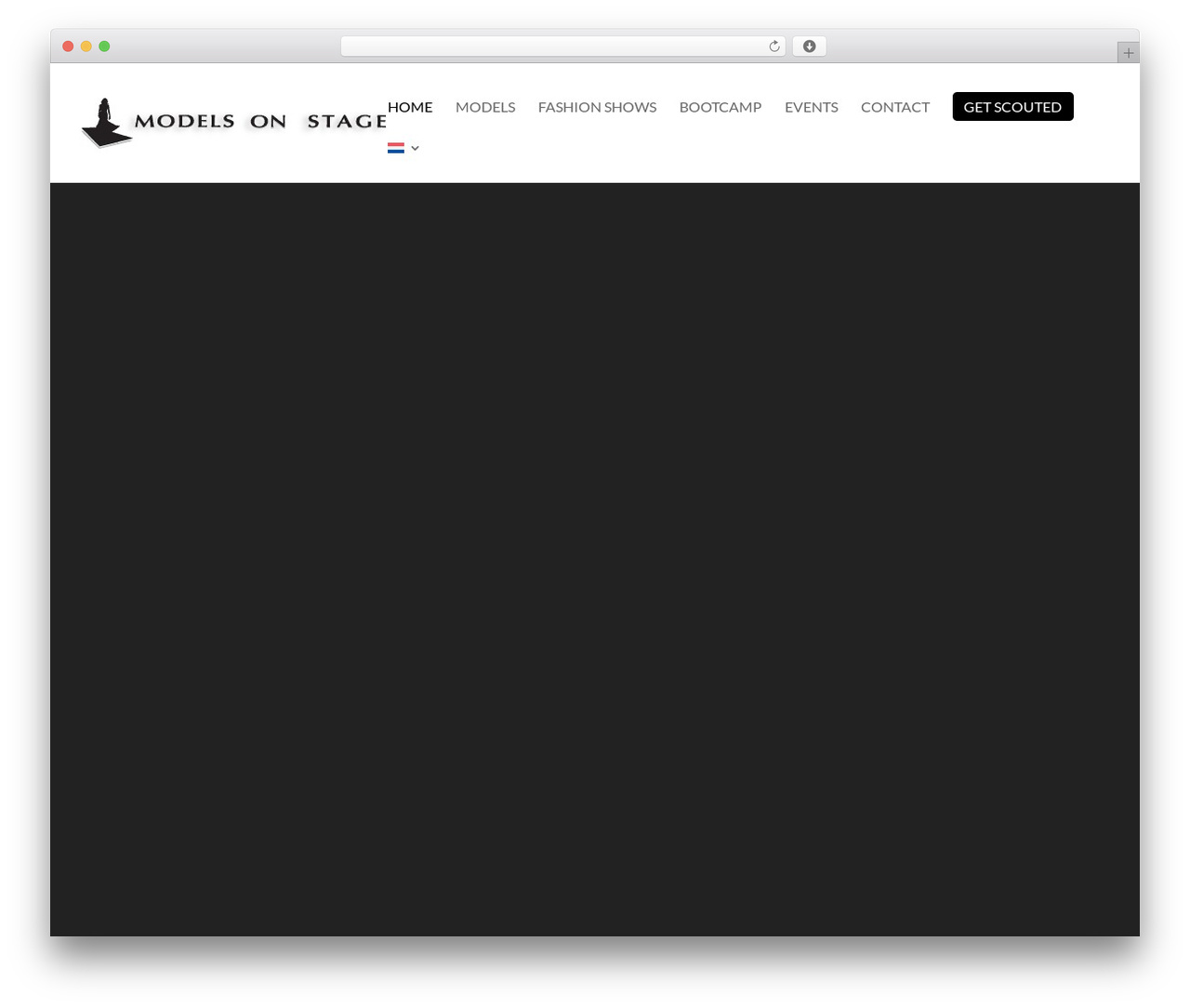 WordPress theme Divi - modelsonstage.com WordPress theme Divi - modelsonstage.com