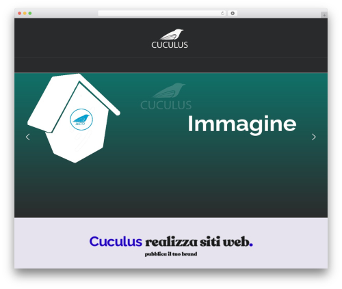 X email mailchimp WordPress plugin - cuculus.it
