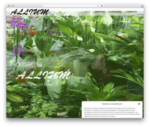 You WordPress theme - floristeriaallium.com