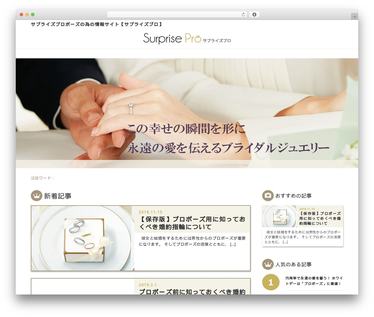 サプライズプロ theme WordPress - surprise-pro.com サプライズプロ theme WordPress - surprise-pro.com