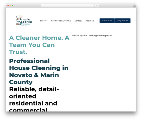 Tenweb builder WordPress plugin - priscilasparklecleaning.com