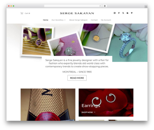 Divi WordPress theme - sergesakayan.com