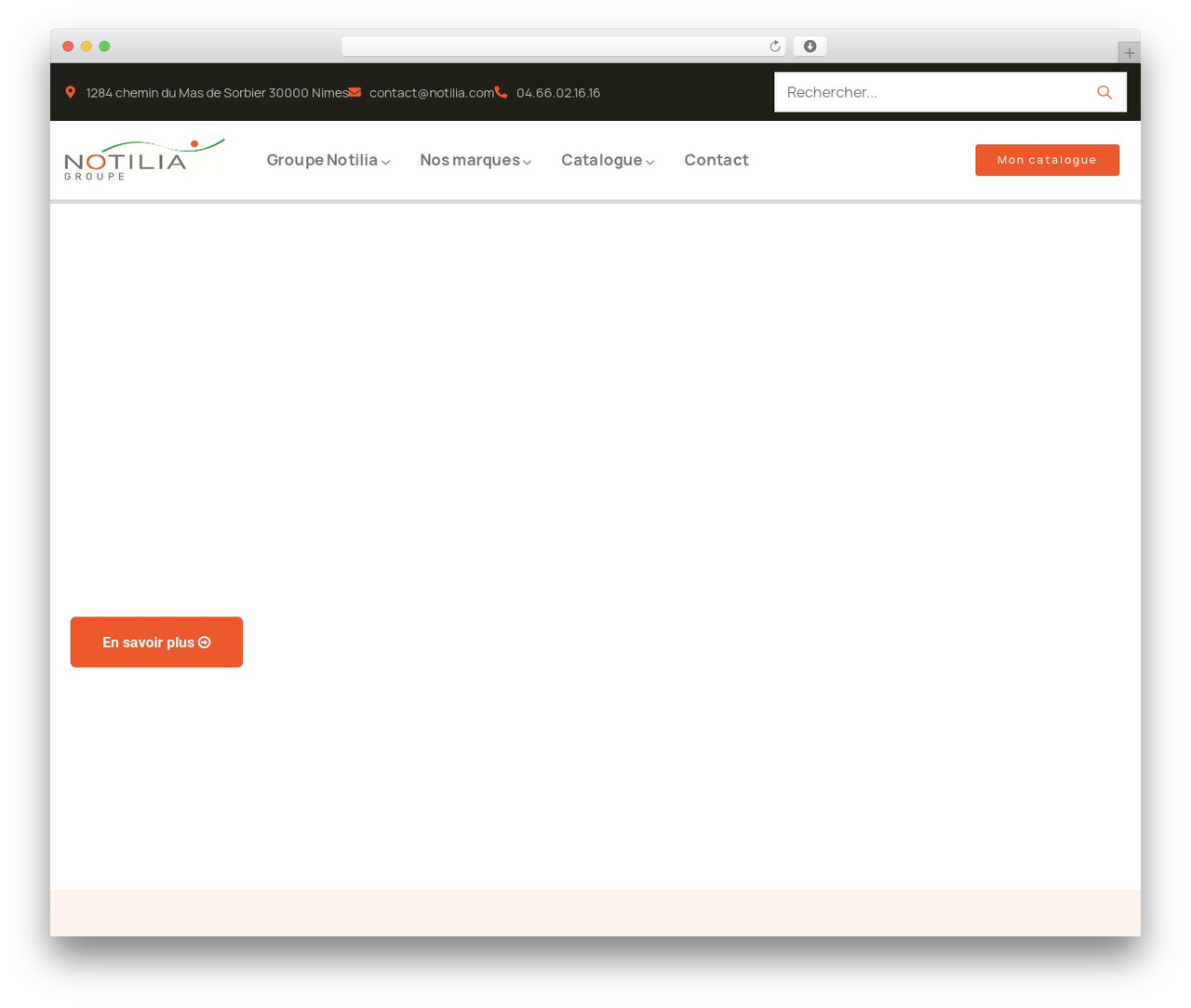 Orgarium Child WordPress theme - notilia.com Orgarium Child WordPress theme - notilia.com