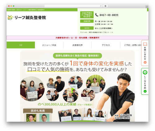 Selfull WordPress theme - reaf-a.com