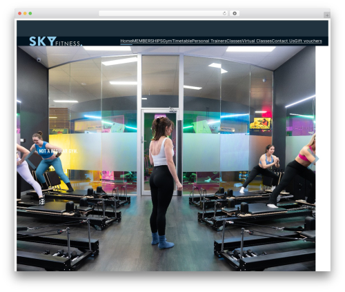 Theme WordPress Image Direct Wordpress Pro - skyfitness.net.au