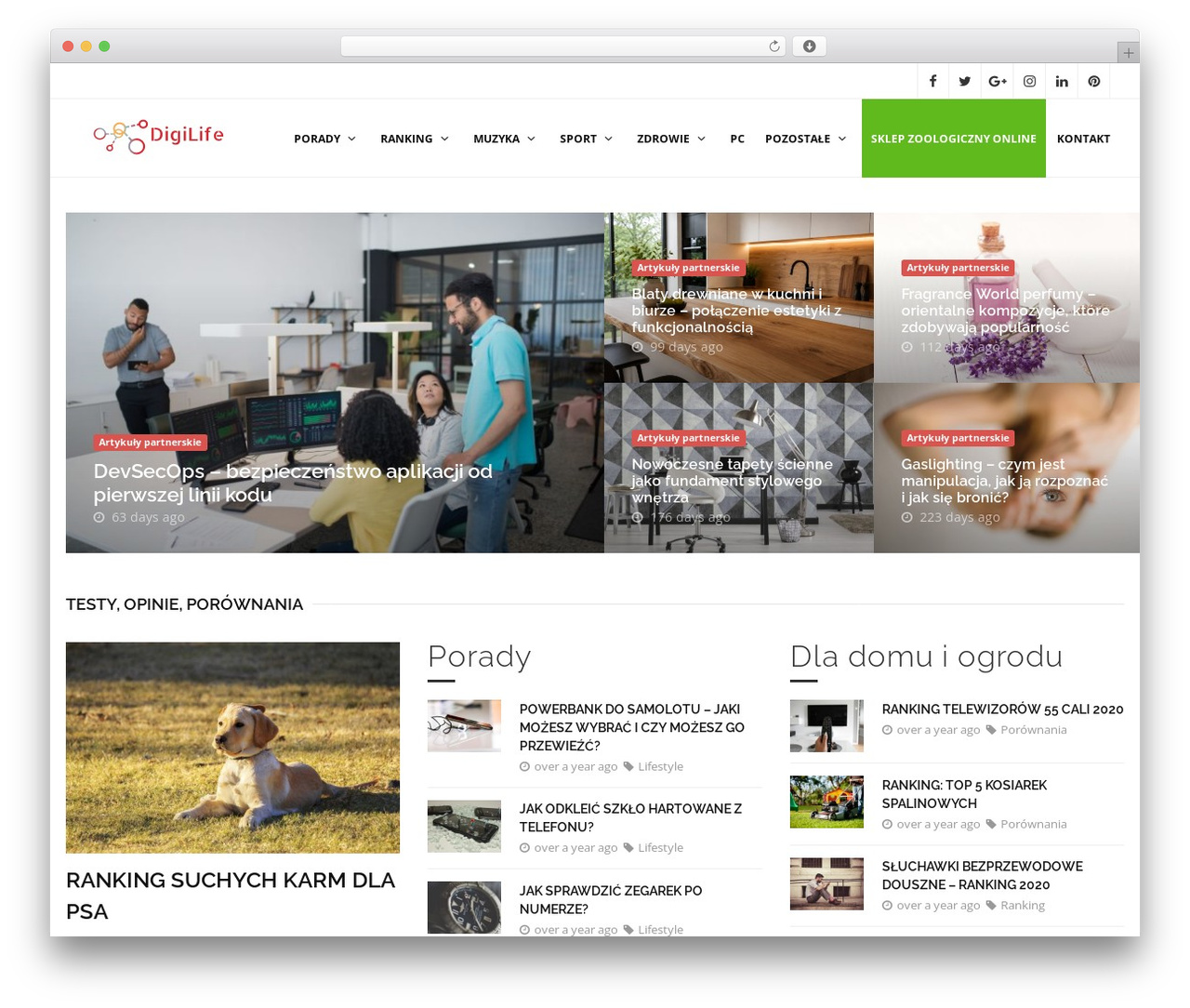 Theme WordPress Polo - digilife.pl