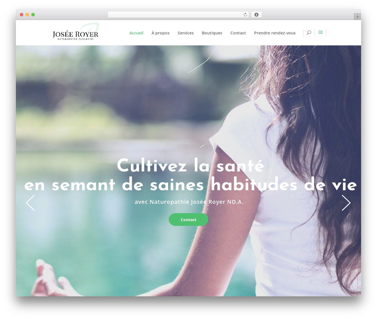Theme WordPress Wellspring - joseeroyer.com