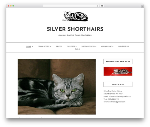 Veggie WordPress theme - silvershorthairs.com