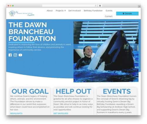 Beaver Builder Theme WP theme - dawnsfoundation.org