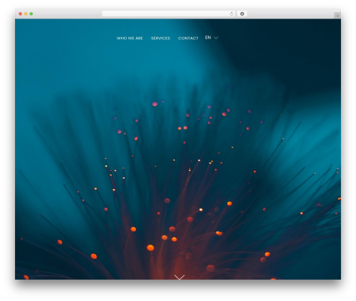 D4D Theme theme WordPress - localcords.com