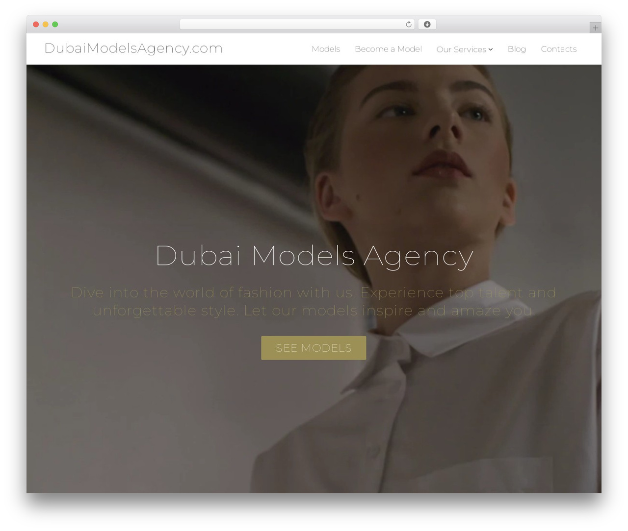 Modellic WP theme - dubaimodelsagency.com