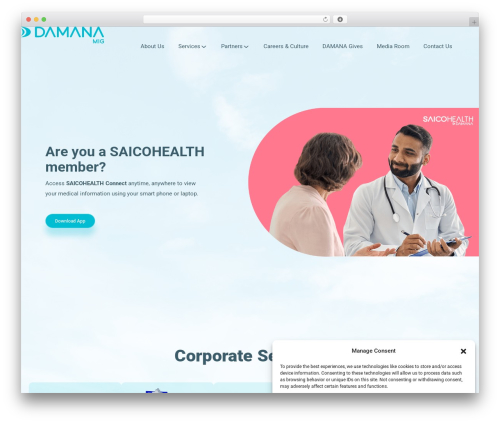 Startli WordPress theme design - damana.com