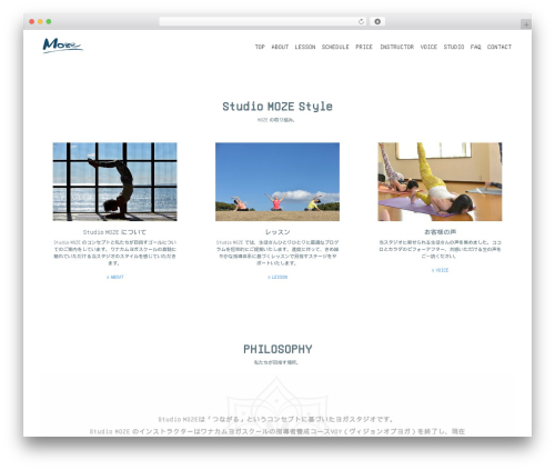 WordPress Form Customizer | CF7 Customizer (cf7-customizer) free WordPress plugin - moze-yoga.jp