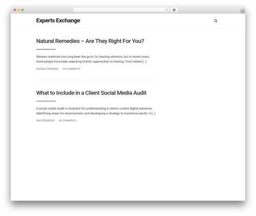 WordPress theme Domainer Theme - expertsexchange.net