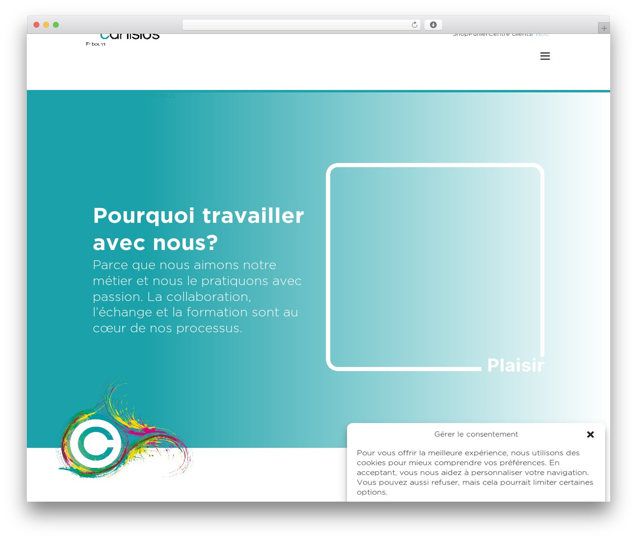 WordPress theme MiNT - canisius.ch