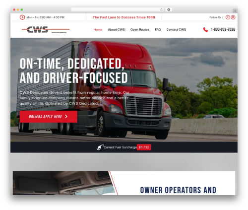 cws theme WordPress - cwsdedicated.com