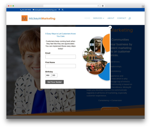 Divi WordPress theme - mickeymmarketing.com