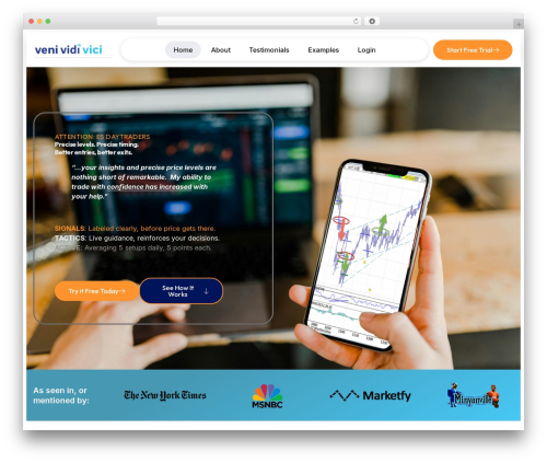 Hello Elementor WordPress theme - viditrade.com