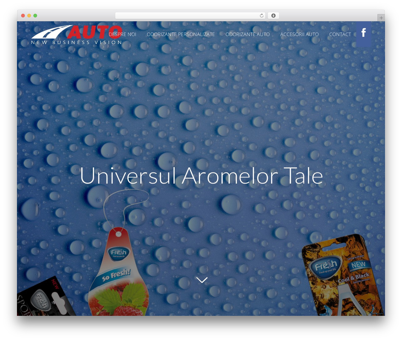 Theme WordPress Bridge - autonbv.ro Theme WordPress Bridge - autonbv.ro