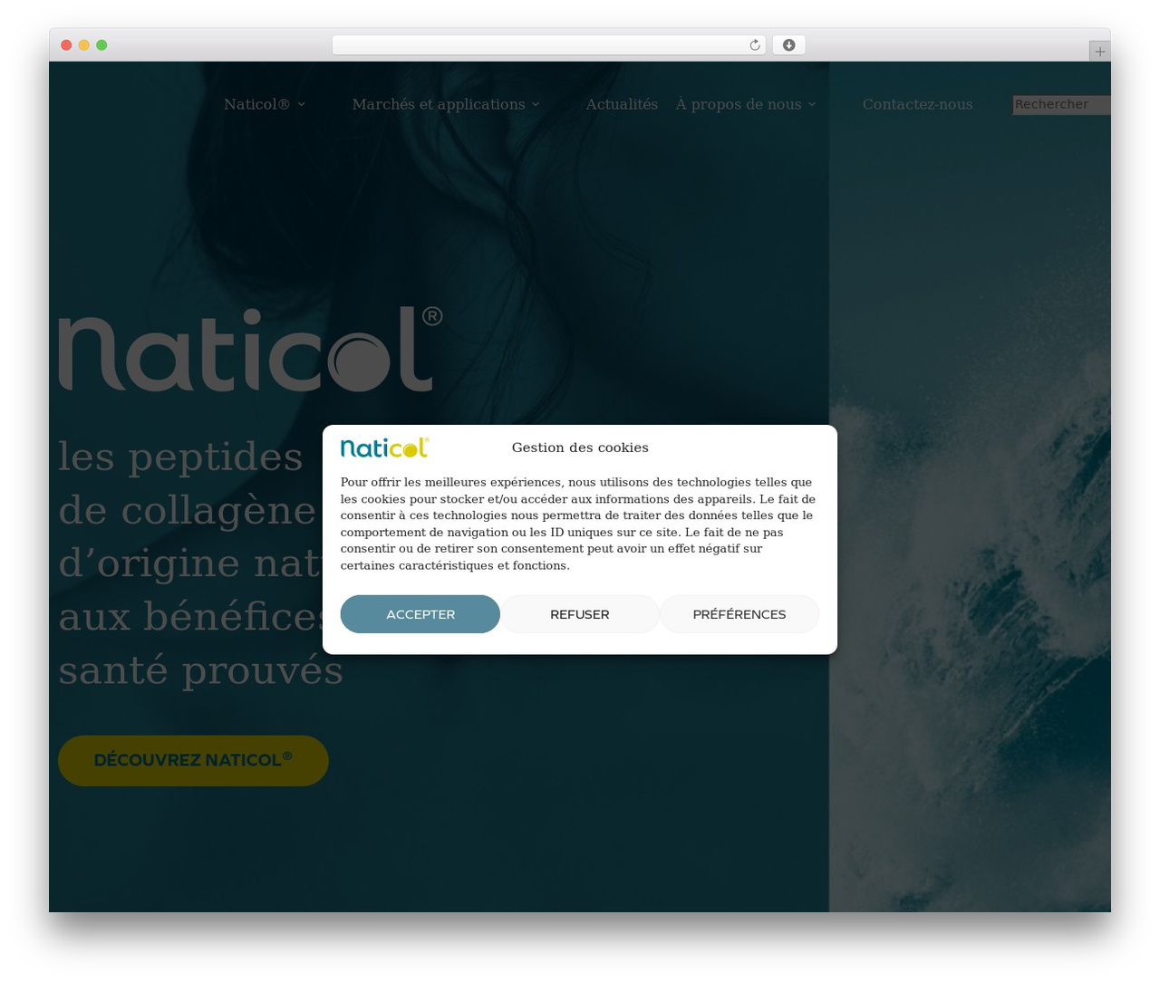 Theme WordPress Naticol - Blocksy Child - naticol.com Theme WordPress Naticol - Blocksy Child - naticol.com