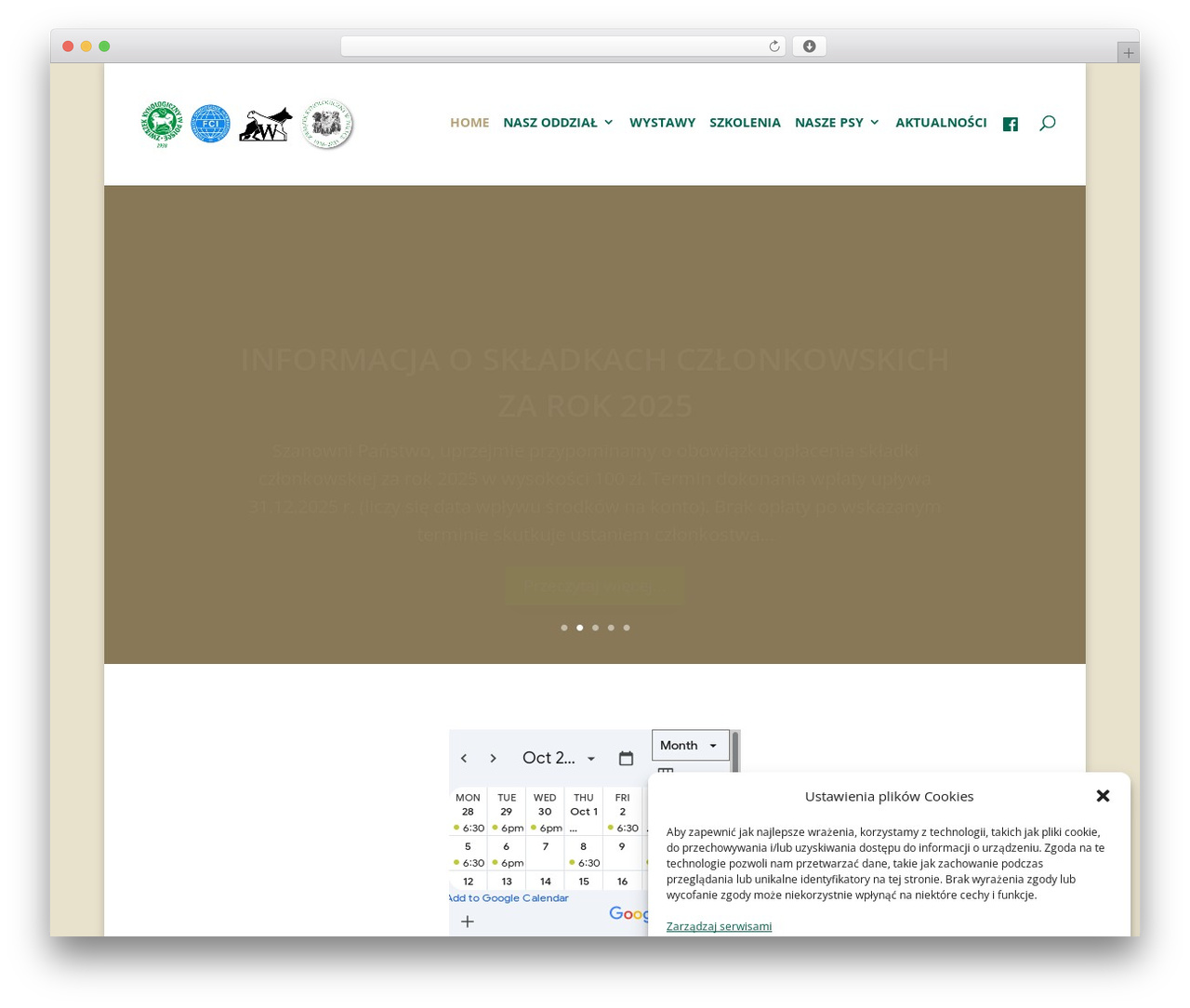 Theme WordPress Divi - zkwpwroclaw.pl