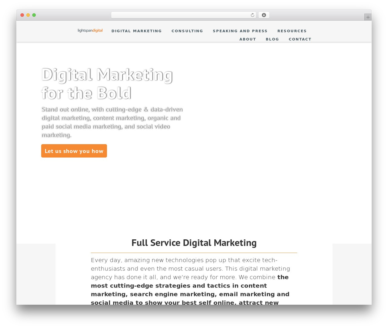 WordPress website theme Lightspan Digital - lightspandigital.com