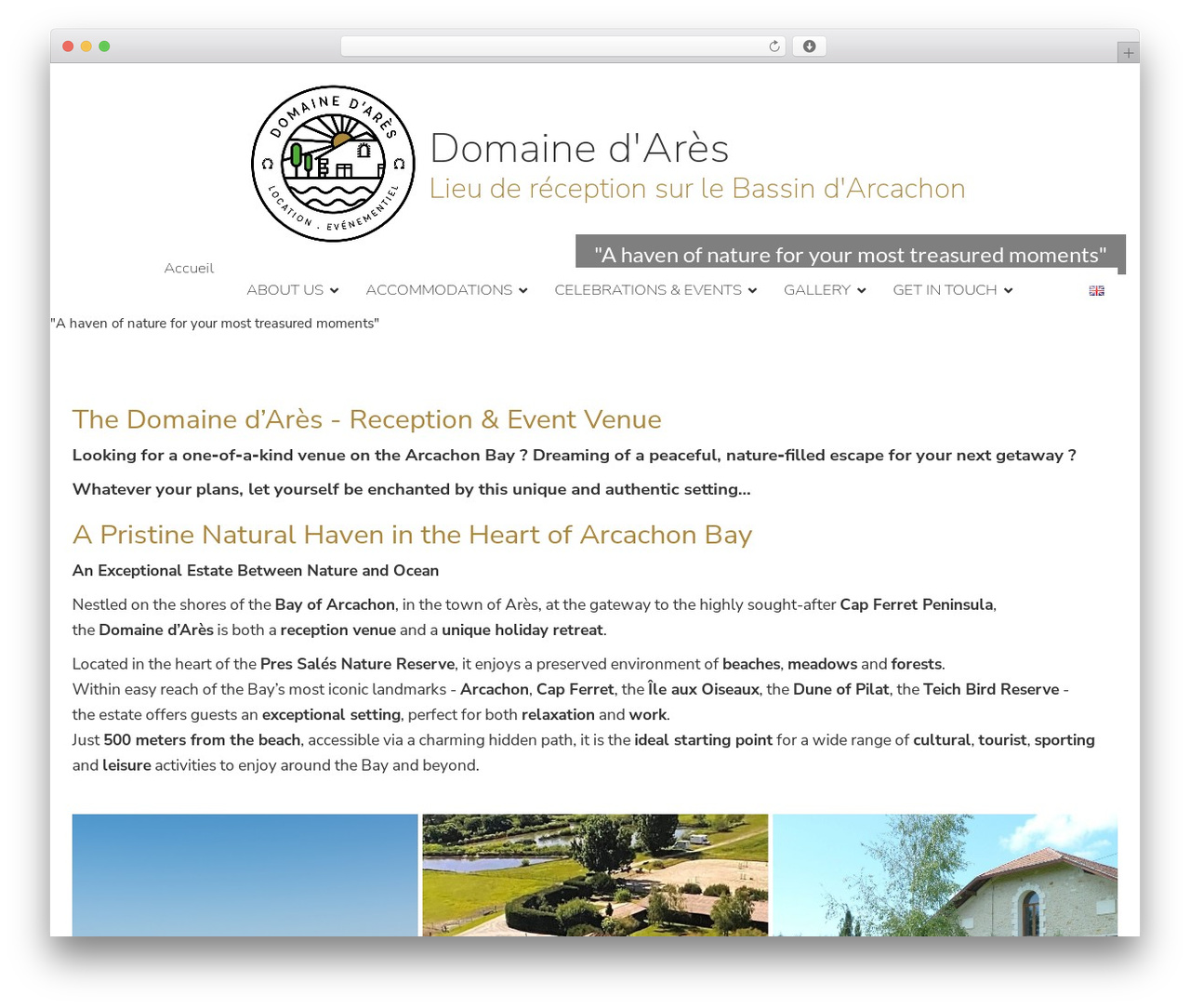 6temflex WordPress theme design - domainedares.com