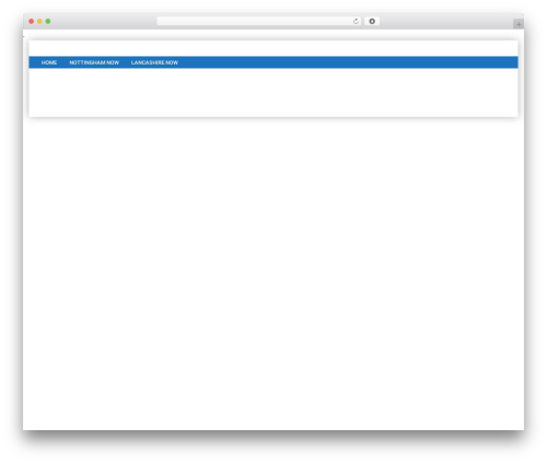 Bitz WordPress theme - wilcopandsons.com