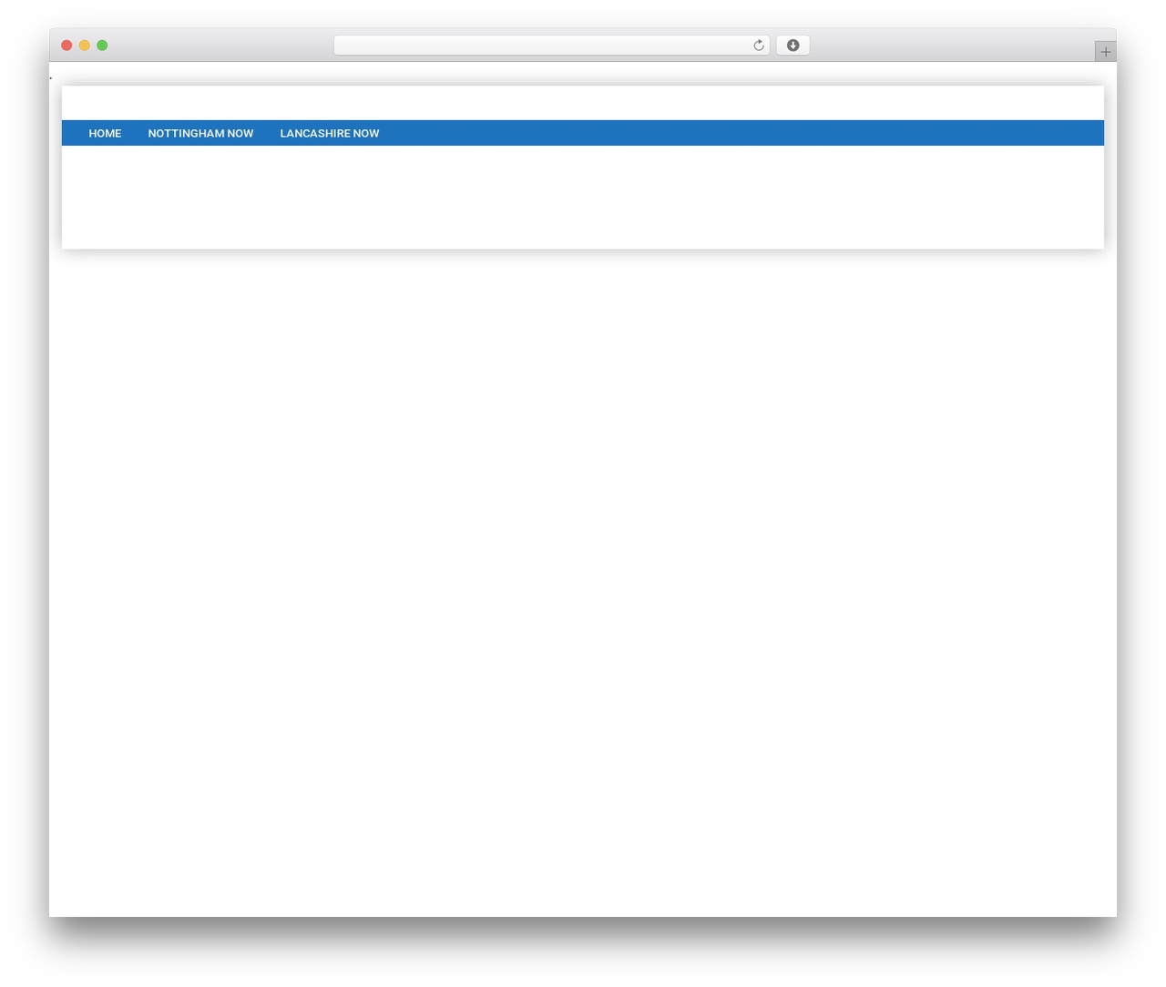 Bitz WordPress theme - wilcopandsons.com