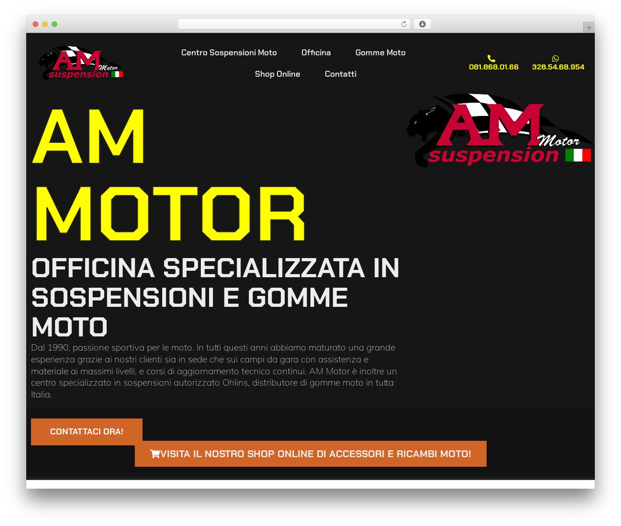 Hello Elementor WordPress theme - ammotor.it