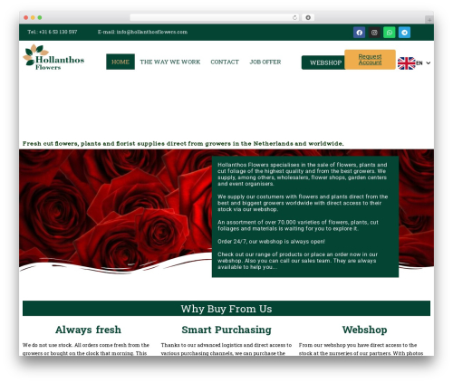 Animate in view WordPress plugin - hollanthosflowers.com