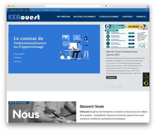 Better google custom search WordPress plugin - exaouest-formations.fr
