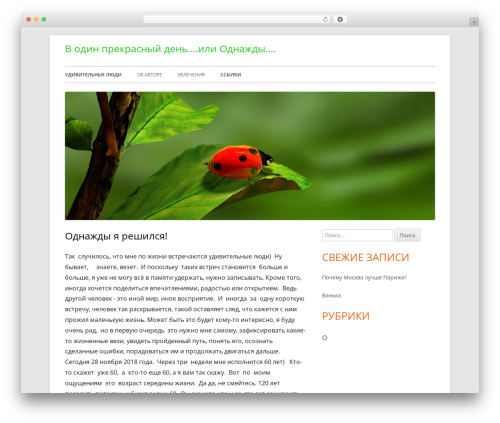 Tiny Framework free WordPress theme - oneday.click
